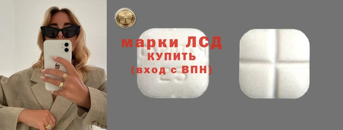 эйфоретик Аркадак