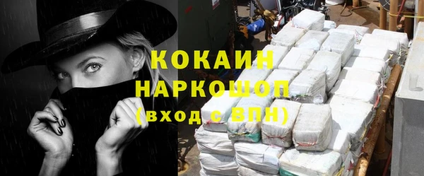 твердый Арсеньев