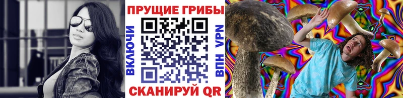 Псилоцибиновые грибы прущие грибы  Бологое 